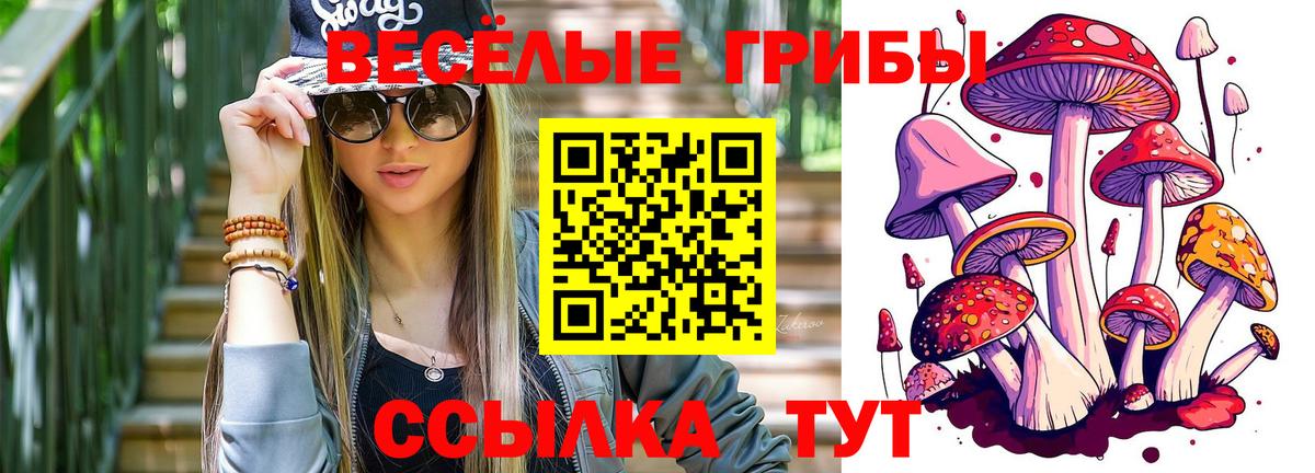 Рязань  Галлюциногенные грибы Cubensis  Вход с VPN 